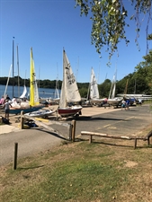 BSA Summer Regatta